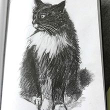 Some drawings done in (colored) pencil. Projekt z dziedziny R i sunek ołówkiem użytkownika Astrid - 18.06.2023