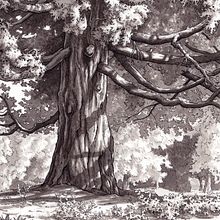 Inking Nature. Traditional illustration project by Heather Souliere - 06.19.2023