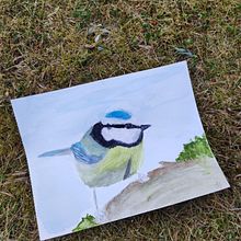 My project for course: Artistic Watercolor Techniques for Illustrating Birds. Traditional illustration, Watercolor Painting, Realistic Drawing, and Naturalistic Illustration project by Suzanne Faber - 06.19.2023