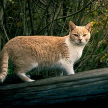 Il mio progetto del corso: Fotografia di paesaggi e natura. Photograph, Outdoor Photograph, Instagram Photograph, Documentar, Photograph, and Photographic Composition project by Domenico Litrico - 06.21.2023