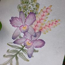 Il mio progetto del corso: Tecniche artistiche per l'illustrazione naturalistica. Un proyecto de Ilustración tradicional, Pintura a la acuarela, Pintura acrílica, Ilustración botánica, Ilustración con tinta y Dibujo con lápices de colores de Daniela Zaccheddu - 22.06.2023