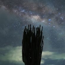 Mi proyecto del curso: Introducción a la astrofotografía. Un progetto di Fotografia e Fotografia all'aperto di María Fernanda Martínez Amaya - 17.06.2023