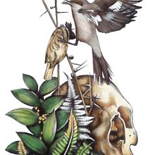 Mi proyecto del curso: Ilustración naturalista con bolígrafo. Un progetto di Illustrazione tradizionale, Disegno, Disegno realistico e Illustrazione naturalistica di Carlos Adrián De La Paz Almaraz - 22.06.2023