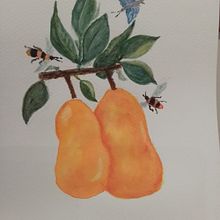 finished project for botanical course. Un progetto di Illustrazione tradizionale di Margaret Fraser - 21.06.2023