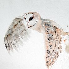 Mi proyecto del curso: Acuarela naturalista con expresión y personalidad. Watercolor Painting, Naturalistic Illustration, and Traditional illustration project by Romina Ojeda - 06.23.2023