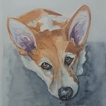 My project for course: Expressive Animal Portraits in Watercolor. Un proyecto de Ilustración tradicional, Pintura a la acuarela, Dibujo realista e Ilustración naturalista				 de darylwest1 - 25.06.2023