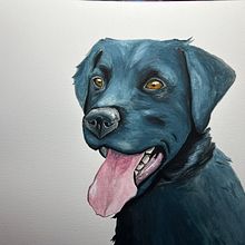 Dog Gouache Projects. Pintura guache projeto de Sophy - 25.06.2023