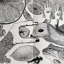 Rheba's final project for course: Drawing from Observation for Beginners. Un proyecto de Bocetado, Dibujo a lápiz, Dibujo, Sketchbook e Ilustración con tinta de Rheba - 25.06.2023