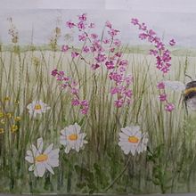 My project for course: Illustrating the Natural World with Watercolor and Charcoal. Traditional illustration, Painting, and Naturalistic Illustration project by karin_folkesson - 06.26.2023