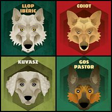 Dog face collection. Traditional illustration, Editorial Design, Infographics, Vector Illustration, Drawing, Digital Illustration, Portrait Drawing, and Editorial Illustration project by Nil Solà Serra - 06.27.2023
