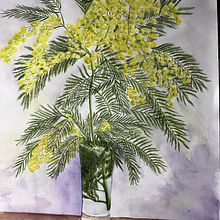 Mimosa in glass. Traditional illustration, Painting, and Watercolor Painting project by Diane C. Pelletier - 06.24.2023