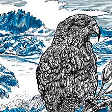 Newzealand. Sketching, Drawing, Artistic Drawing, Sketchbook, Ink Illustration, and Naturalistic Illustration project by Annette Brockmann - 06.27.2023