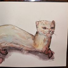 My project for course: Experimental Watercolor Techniques for Beginners. Ilustração tradicional, Artes plásticas, Pintura em aquarela e Ilustração naturalista projeto de Kate - 27.06.2023