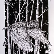 My project for course: Dip Pen and Ink Illustration: Capturing The Natural World. Sketching, Drawing, Artistic Drawing, Sketchbook, Ink Illustration, and Naturalistic Illustration project by Rachel Painting - 06.28.2023