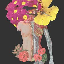Anatomy Collage Woman . Collage project by Tita Costa - 06.28.2023