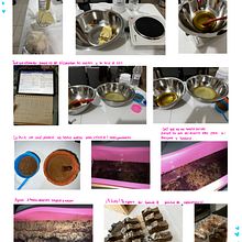 Mi proyecto del curso: Introducción a la elaboración de jabones artesanales creativos. Arts, Crafts, and DIY project by Abril Jareny Ramírez Ríos - 06.29.2023