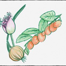 My project for course: Artistic Techniques for Illustrating Nature. Un proyecto de Ilustración tradicional, Pintura a la acuarela, Pintura acrílica, Ilustración botánica, Ilustración con tinta y Dibujo con lápices de colores de Masha Fedotov - 30.06.2023