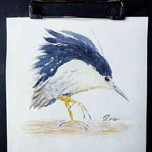 Meu projeto do curso: Aquarela naturalista com expressão e personalidade. Un proyecto de Ilustración tradicional, Pintura a la acuarela e Ilustración naturalista				 de Cristina Coltro - 27.06.2023