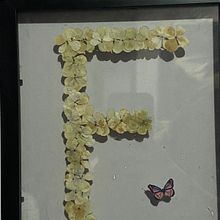 Mi proyecto del curso: Técnicas básicas de prensado botánico. Un proyecto de Artesanía, Bellas Artes, Collage, DIY, Diseño floral y vegetal de Vania Alejandra Canales Cañon - 30.06.2023