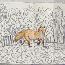 My project for course: Animal Illustration: Capturing Wildlife in a Sketchbook. Un proyecto de Ilustración tradicional, Collage, Sketchbook e Ilustración naturalista				 de Teresa Figueiredo - 30.06.2023