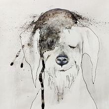 My project for course: Animal Illustration with Charcoal and Ink. Projekt z dziedziny  Sztuki piękne,  R, sunek,  R, sunek atramentem, Ilustracja naturalist i czna użytkownika Viera Strakova - 01.07.2023