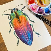 Jewel Beetle Watercolour (w/process). Un proyecto de Pintura a la acuarela, Ilustración tradicional, Pintura, Ilustración naturalista				 y Bellas Artes de Lyndsay Stephenson - 01.07.2023