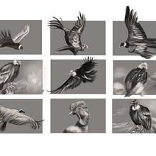 My project for course: Naturalist Animal Illustration with Procreate. Traditional illustration, Digital Illustration, Realistic Drawing, and Naturalistic Illustration project by MARIO GONZALEZ - 07.02.2023