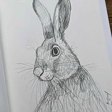 My project for course: Naturalistic Animal Drawing with Graphite Pencil. Traditional illustration, Pencil Drawing, Drawing, and Naturalistic Illustration project by Anna Avigad - 07.03.2023