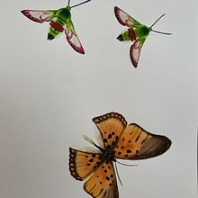 Watercolour Animals during confinment . Lukisan proyek oleh Fátima - 07.03.2023