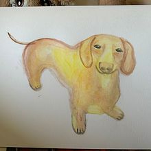 PERRO SALCHICHA. Un progetto di Illustrazione tradizionale, Belle arti e Pittura ad acquerello di Laura - 03.07.2023