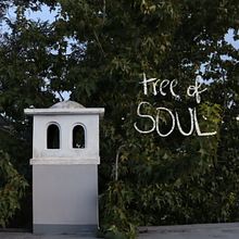 tree of my soul. Photograph, Digital Photograph, and Photographic Composition project by valeriafa8 - 07.17.2023