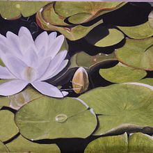 Mi proyecto del curso: Pintura realista al óleo: el color en la vegetación. Fine Arts, Painting, Oil Painting, and Naturalistic Illustration project by mari carmen Gómez - 07.04.2023