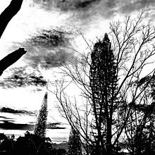 Mi proyecto del curso: Las leyes de la percepción visual: unidad, peso, equilibrio y movimiento . % andy_camacho tarafından hazırlanan Mimarlık, Sanat Yönetmenliği, Yaratıcı Danışmanlık, Editör, al Tasarım, Güzel sanatlar, Grafik Tasarım, Ve Set Tasarımı projesi - 07.03.2023