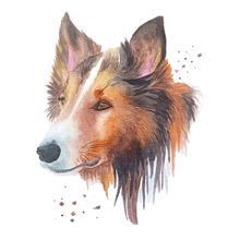 Mi proyecto: Retratos expresivos de animales en acuarela. Un progetto di Illustrazione tradizionale, Pittura ad acquerello, Disegno realistico e Illustrazione naturalistica di Giselle Martinez - 26.06.2023