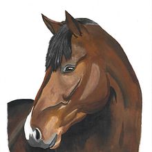 Pferdeportait. Traditional illustration, Painting, and Gouache Painting project by sara_straumann - 07.05.2023