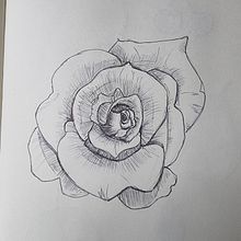 Sketchbook. Traditional illustration, Sketching, and Sketchbook project by sara_straumann - 07.05.2023