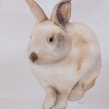 Il mio progetto del corso: Tecniche sperimentali di acquerello per principianti. Un proyecto de Ilustración tradicional, Bellas Artes, Pintura a la acuarela e Ilustración naturalista				 de Olimpia Gentile - 05.07.2023