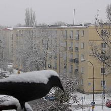 The Best Weather For Me. Een project van Fotografie, Digitale fotografie y Fotografische compositie van Yherman Alejandro Araque Aya - 06.07.2023