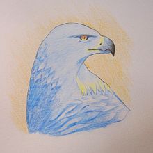 Águila Azul . % Joaquín Montes tarafından hazırlanan Yazma, Yaratıcılık, Hika, e anlatımı, Anlatı, Kurgu Dışı Yazım, Kurgu Yazımı, Ve Yaratıcı Yazarlık projesi - 07.30.2023