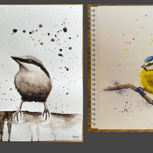 My project for course: Artistic Watercolor Techniques for Illustrating Birds. Un progetto di Illustrazione tradizionale, Pittura ad acquerello, Disegno realistico e Illustrazione naturalistica di ag_fisiak - 07.07.2023