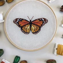 Meu projeto do curso: Técnicas de bordado realista. Ilustração tradicional, Bordado, e Design têxtil projeto de Ana Julia Justino - 07.07.2023
