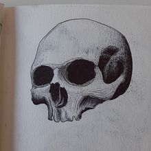 Skull bic drawing. Projekt z dziedziny Trad, c i jna ilustracja użytkownika Edoardo Vicari - 08.07.2023