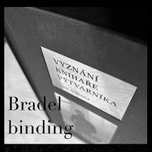 Bradel Binding . Bookbinding, Design, Arts, and Crafts project by Katerina Stryckova - 04.06.2023