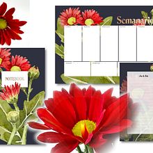 Mein Abschlussprojekt für den Kurs: Botanische Illustration mit Wasserfarben. Traditional illustration, Fine Arts, Painting, Drawing, Watercolor Painting, and Botanical Illustration project by Anna Rudolph - 07.09.2023