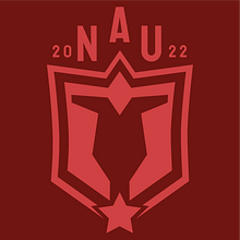 NEW AGE UNITED. Design de logotipo, Design gráfico, Br, ing e Identidade, e Design projeto de Abdelmoumen hamoudi - 09.07.2023