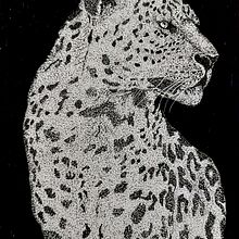 Leopardo. Traditional illustration project by Toni Martinez Morales - 07.10.2023
