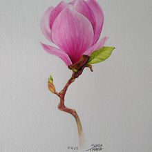 Ho un idea fissa. Traditional illustration project by Sergio G. M. Trama - 11.07.2021