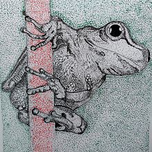 Ranita curiosa. Traditional illustration project by Toni Martinez Morales - 07.09.2023