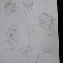 My project for course: Botanical Sketchbooking: A Meditative Approach Ein Projekt aus dem Bereich Traditionelle Illustration, Skizzenentwurf, Zeichnung, Aquarellmalerei, Botanische Illustration und Sketchbook von Meg - 10.07.2023