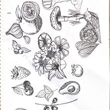 Me gusta dibujar cosas que encuentro en Pinterest, no se mucho pero me gustaría aprender cosas que me ayuden a mejorar mi habilidad de dibujo. Un progetto di Illustrazione tradizionale e Design di amyycarmona - 10.07.2023
